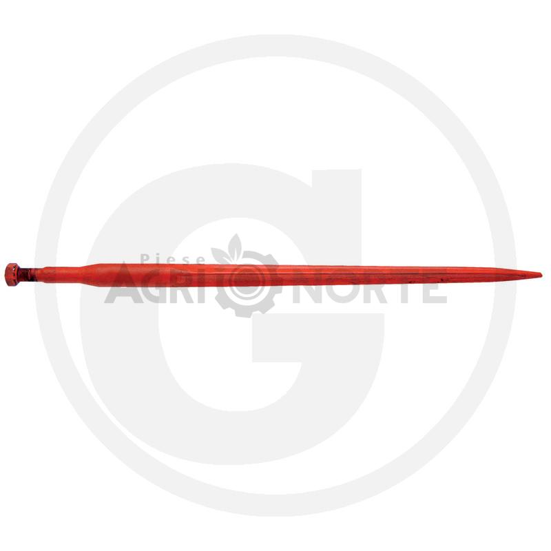 Dinte – SHW