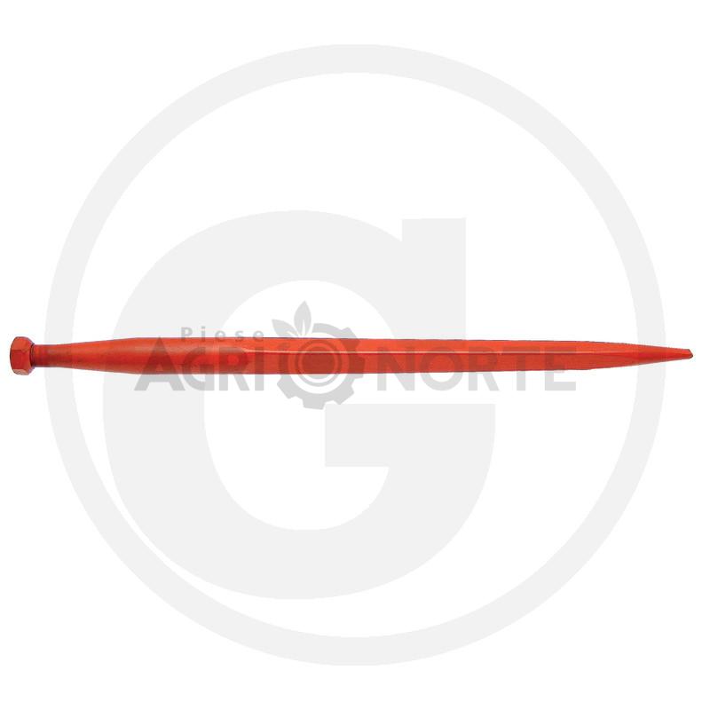 Dinte – SHW