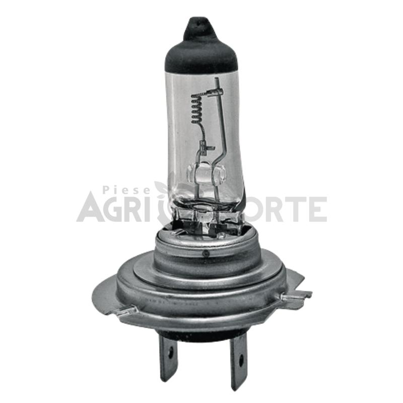 BEC CU HALOGEN H7 – GRANIT