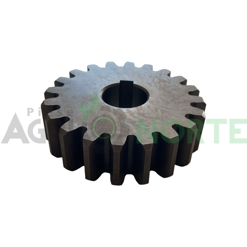 Pinion SIP Z20 88/25×25 T70-10/41 72-0756
