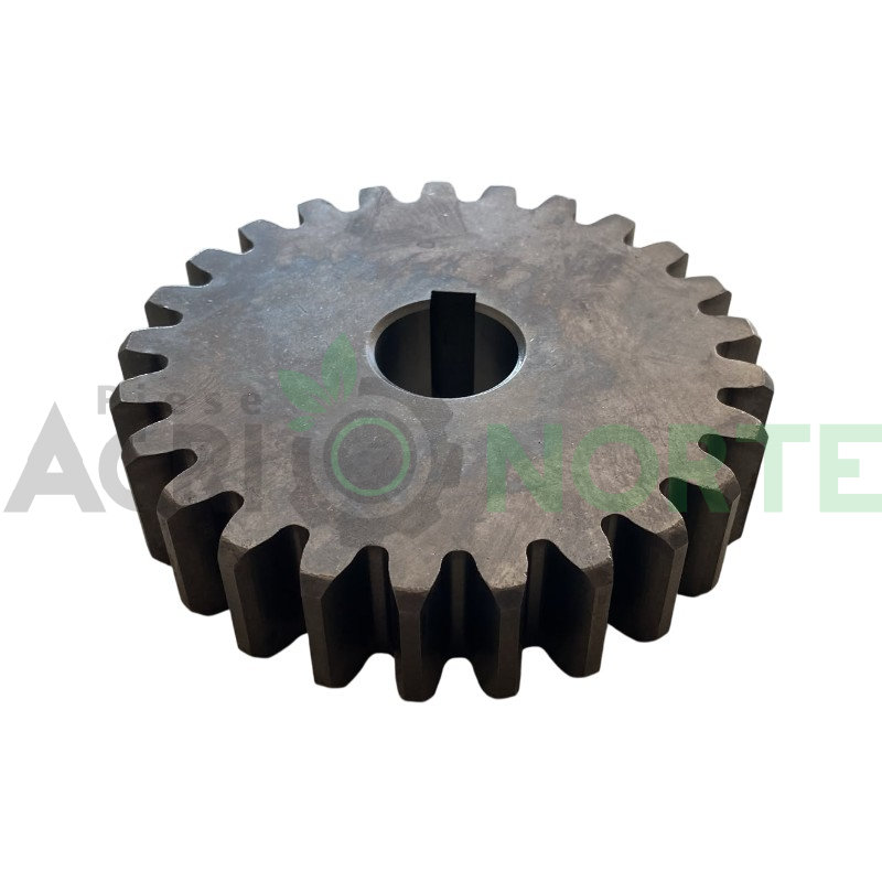 Pinion SIP Z25 108×25 T40-F/05 72-0253