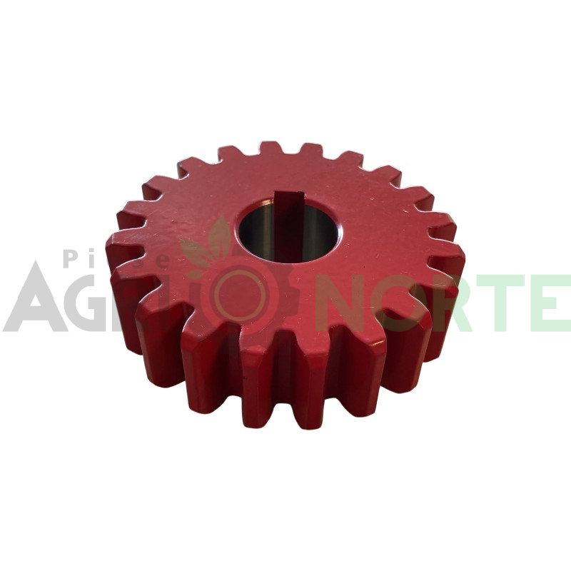 Pinion Z20 SIP 88/25×25 T70-10/40 72-0757
